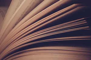 Manifestação da Sociedade Civil - Ministério da Cidadania